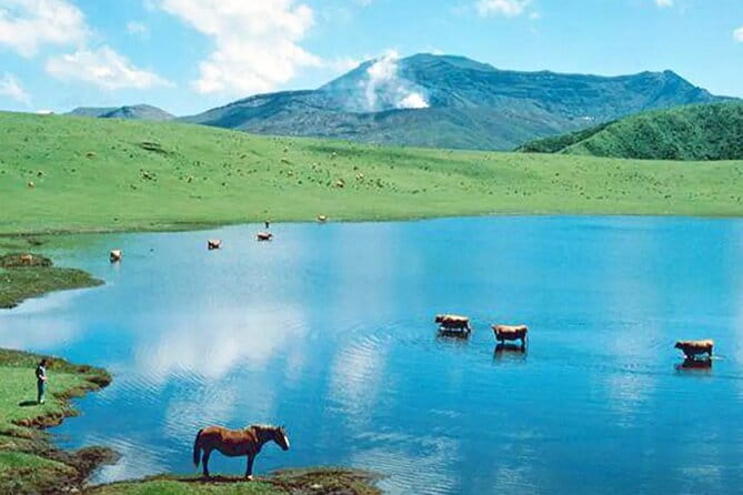 Kumamoto Castle Aso Volcano Kusasenri From Fukuoka and Kumamato