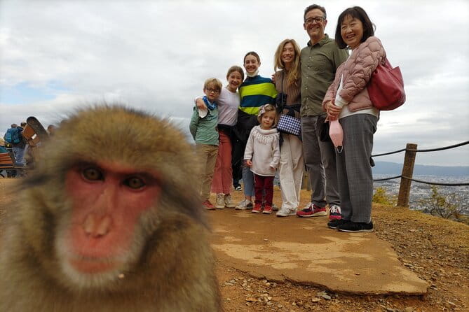 Kyoto 8 Hr Tour From Osaka: English Speaking Driver, No Guide - Tour Overview