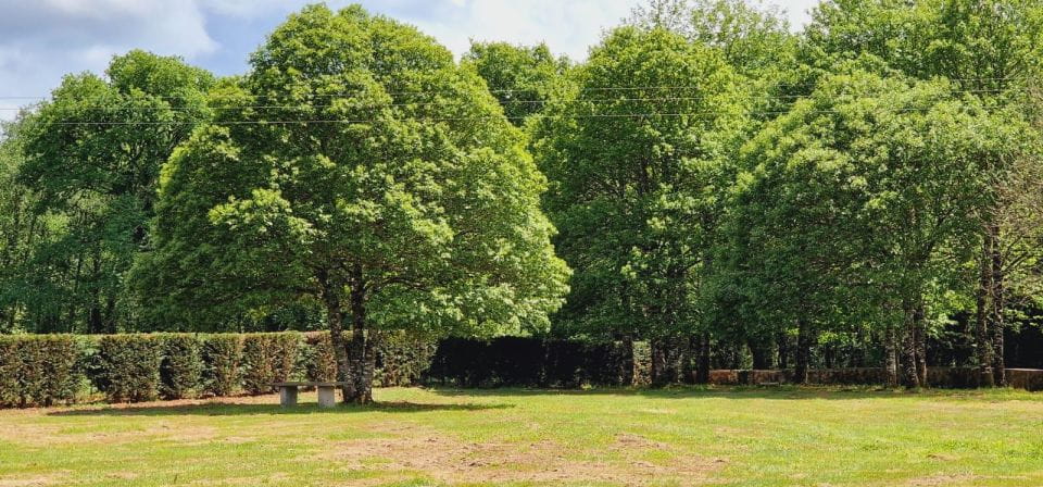 Lugo: Terra Chá and Lugo Cheese Excursion. Galicia - Activity Overview