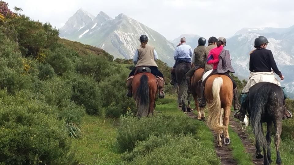 Madrid: Horse Riding in Sierra Del Guadarrama National Park