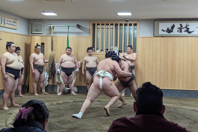 Morning Sumo Practice Viewing in Tokyo - Overview of the Experience