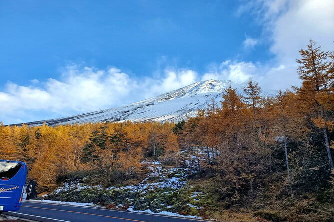 Mt. Fuji & Hakone Guided Private Tour GREEN NUMBER PLATES
