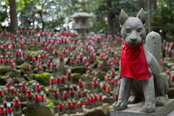 Nagoya Half-Day Private Custom Tour With National Licensed Guide - Meeting, Pickup, and Accessibility