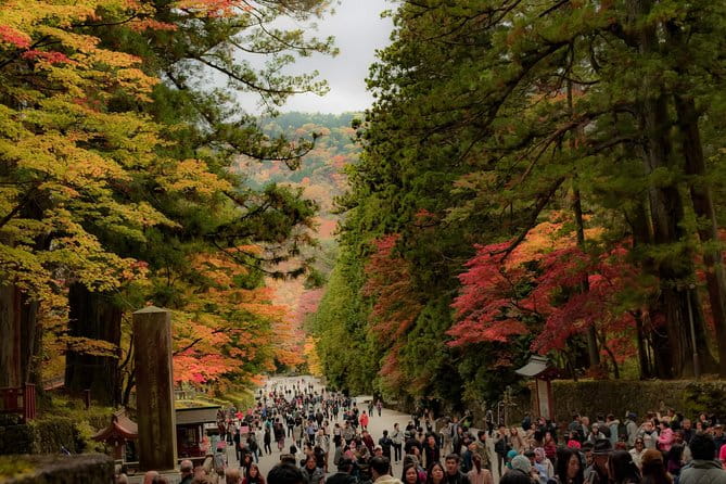 Nikko Private Customizable Half Day Tour - Customization Options