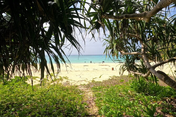 Okinawas Gorgeous Beach & Snorkel Tour: Private & Customised