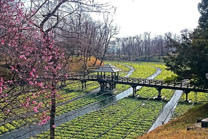 Private Guided Half Day Tour Visit in Nagano - Tour Overview