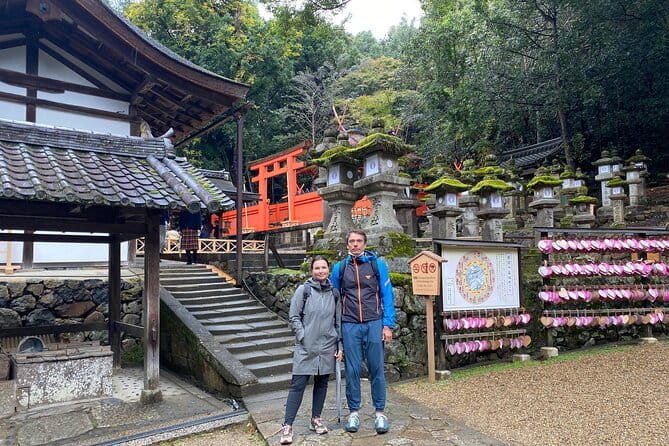 Private Nara Tour With Government Licensed Guide & Vehicle (Osaka Departure) - Tour Overview