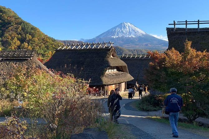 Private Sightseeing to Mt Fuji and Hakone GREEN NUMBER PLATES