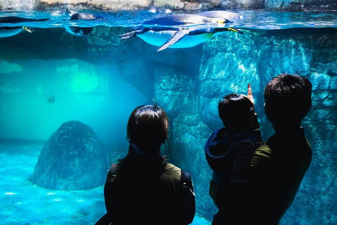 Private Yokohama Family Tours With Local Guides 100% Personalized