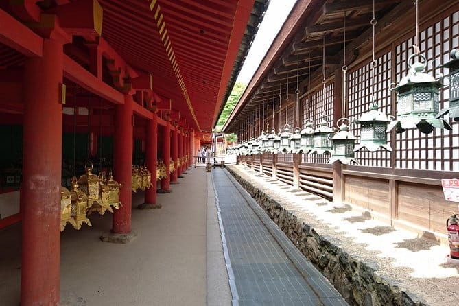 Relax in Nara: Deer Park, Todai-ji Temple and Merchants Town