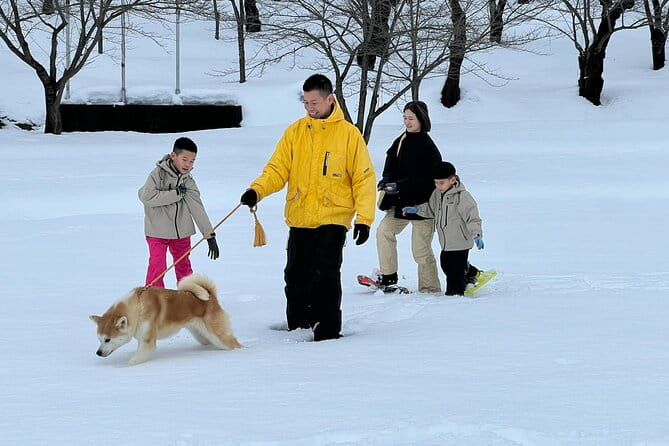 Snowshoe Experience in Akita Yuzawa Winter Park With an Akita Dog - Discovering the Akita Yuzawa Winter Wonderland