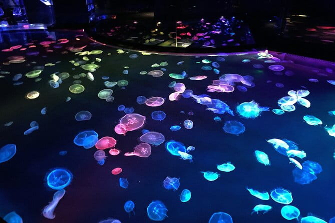 Sumida Aquarium Ticket Tokyo