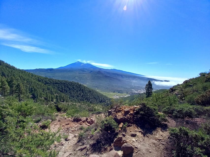 Tenerife: Hiking Above the Village of Masca - Activity Overview