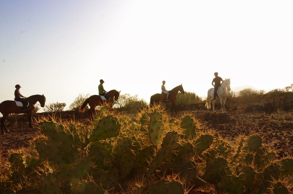 Tenerife: Horseback Ride With Instructor - Activity Highlights
