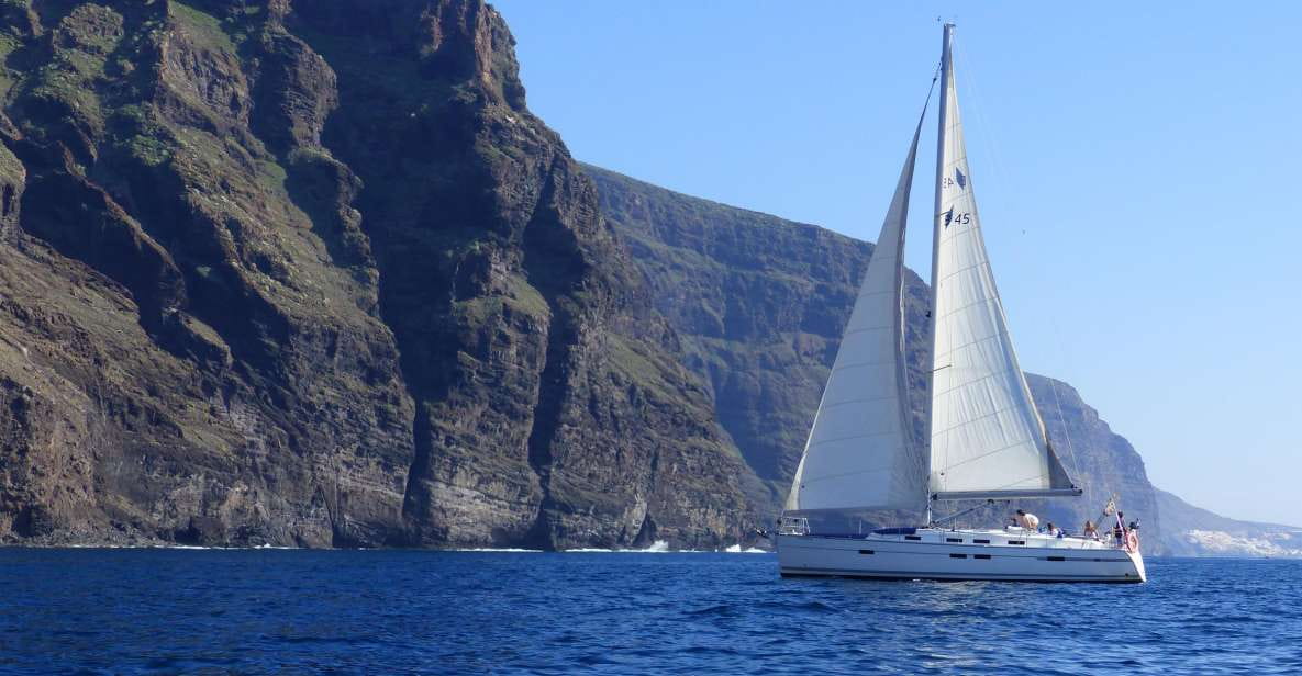 Tenerife: Los Gigantes Whale Watching Cruise by Sail Boat
