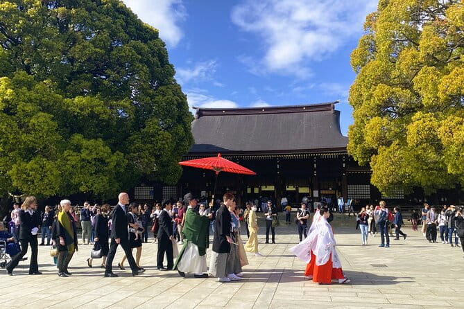 Tokyo Private Tour by Van With English Guide and Photography