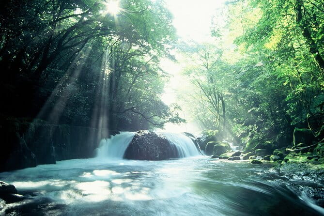 Walking With a Guide Through the Kikuchi Valley - Whats Included in the Tour