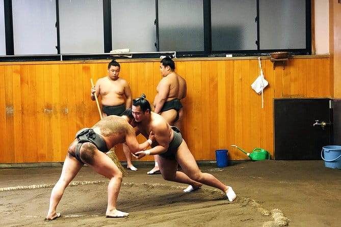 Watch Sumo Morning Practice at Stable in Tokyo - Exploring Sumo Culture in Tokyo