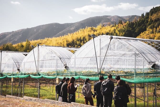 Wine Tasting Experience in Yamaga - Overview of the Wine Tasting Experience