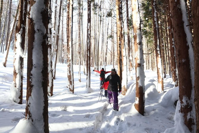 【5 Minutes From Water Ic】 Snow Trekking Half-Day Tour to Enjoy Japanese Snowscapes - Meeting and Pickup Information