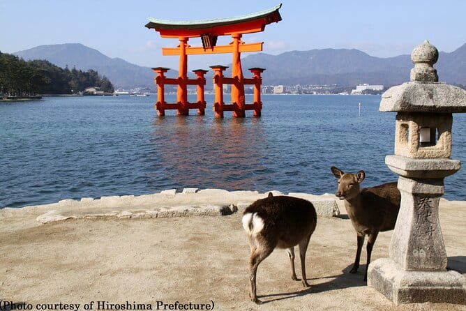1 Day Hiroshima and Miyajima Tour by Bullet Train From Kyoto