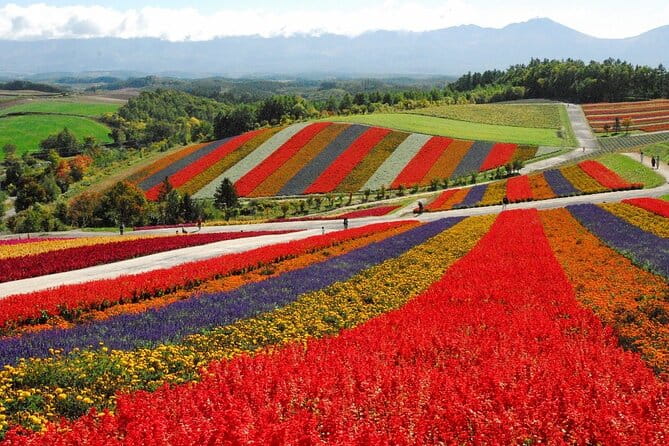 1 Day Fascinating Asahidake and Biei Discovery Tour in Hokkaido