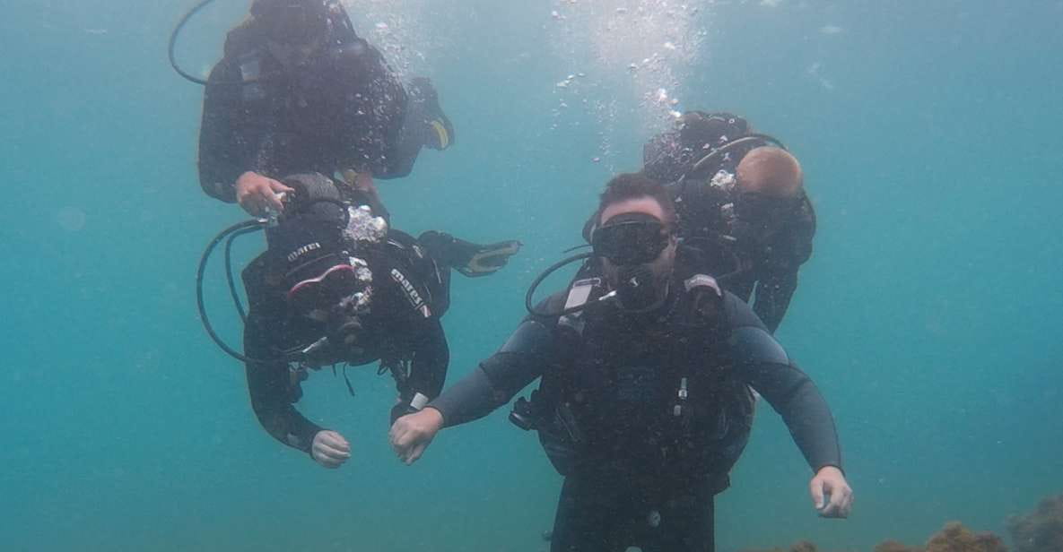 20 Minute Try Dive for Beginners - Activity Overview