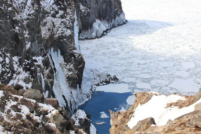 3.5hours Primeval Forest Snowshoe Hike and Wildlife Watching Tour