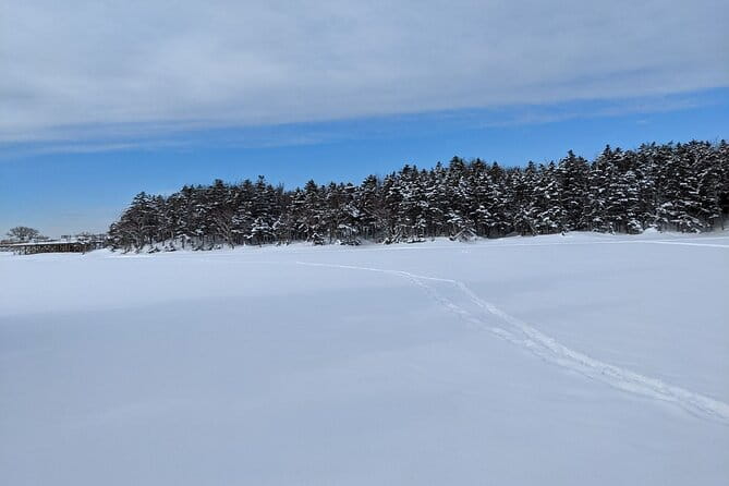 4.5 Hours Snowshoe Hike in Shiretoko Five Lakes