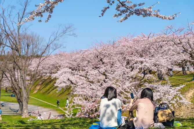 4 Hour Private Cherry Blossom Sakura Experience in Nagasaki - Experience the Beauty of Cherry Blossoms