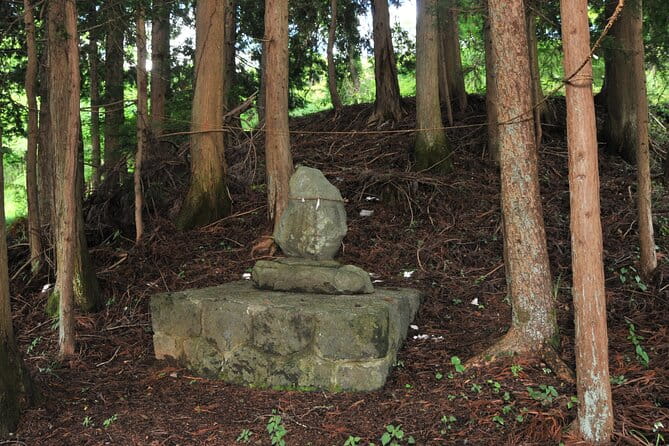 5 Hours of Pilgrimage Tour in the Footage of Mt Fuji in English - Tour Overview