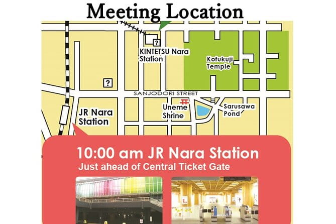 All Must-Sees in 3 Hours – Nara Park Classic Tour! From JR Nara!