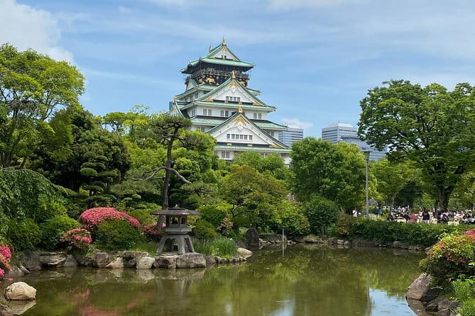 Allure of Osaka Walking Day Tour With a Local Guide - Meet Your Local Guide