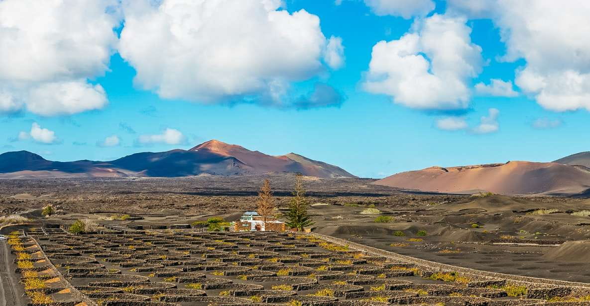 Arrecife: Timanfaya and Green Lagoon for Cruise Passengers