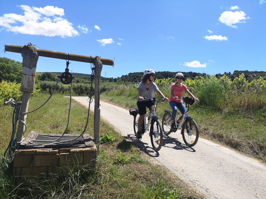 Barcelona: Bike & Wine Guided Tour – Penedès Vineyards