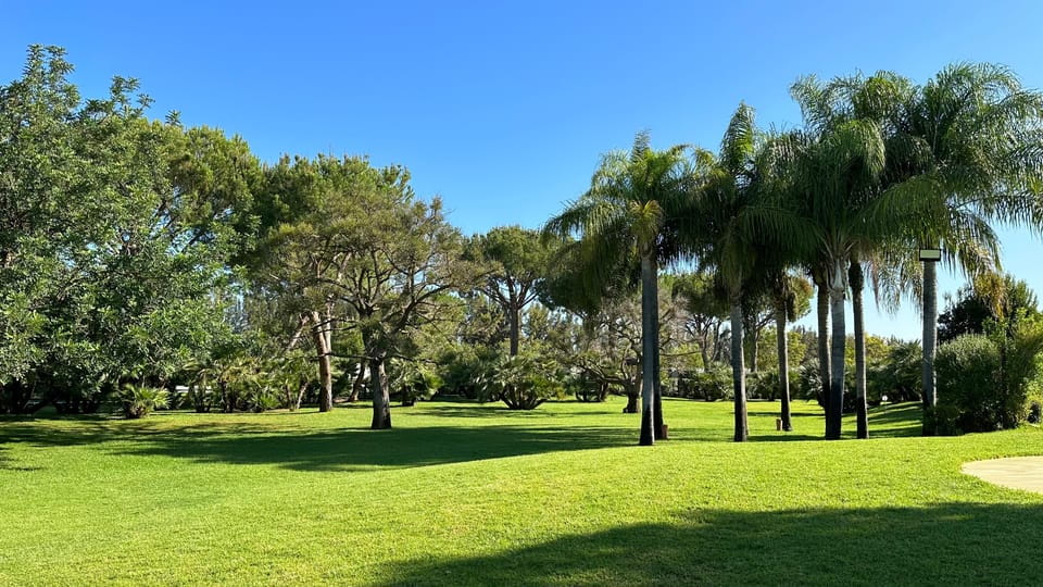 Berry Tasting (Strawberries, Raspberries and Blueberries)