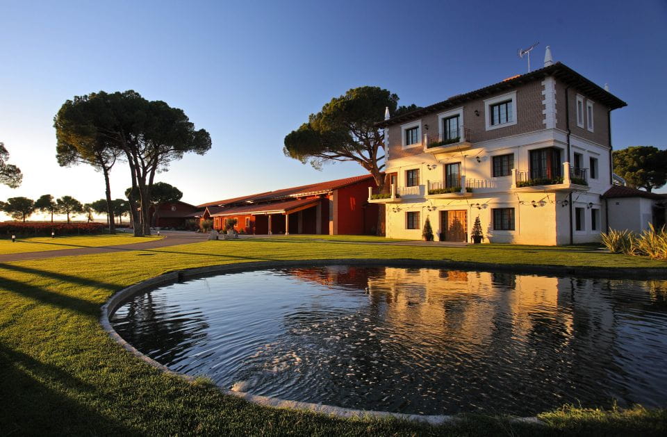 Castille and León: Vineyard Tour With Wine Tasting