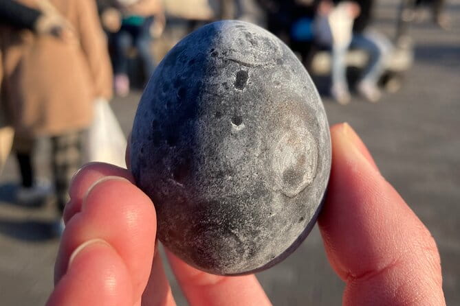 Customizable Hakone-Mt.Fuji Private Day Trip, Eng Speaking Driver