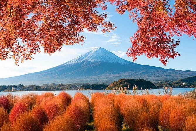Customizable Private Tour in Mt. Fuji With Private Driver