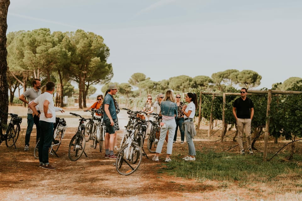 E-Bike Tour & Picnic in an Exclusive Winery Estate