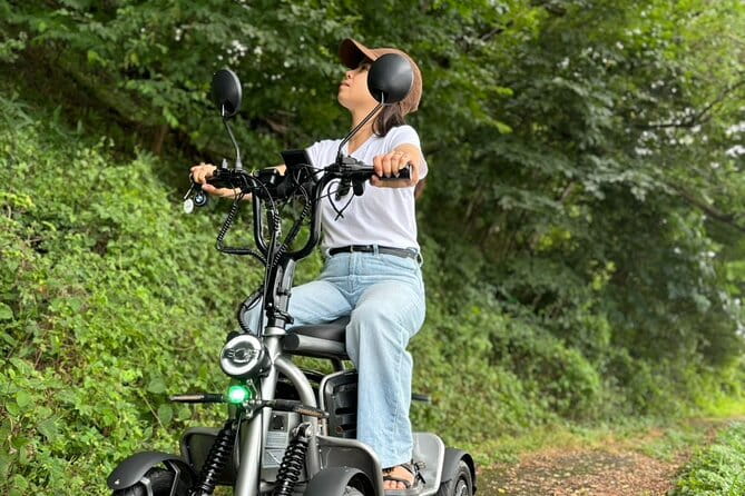 E-Kart Without Drivers License Can Be Driven on Public Roads