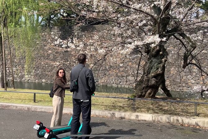 E-Scooter Tour With a Private Guide Tokyo - Tour Overview