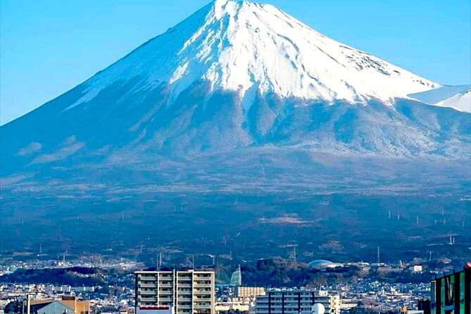 English Guided Mt. Fuji and Lake Kawaguchi Group Tour