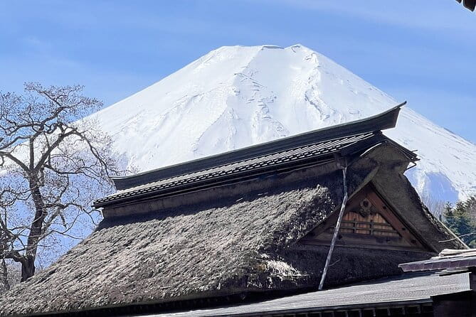 English-speaking Guided Tour:Mount Fuji & Hakone, Private Vehicle