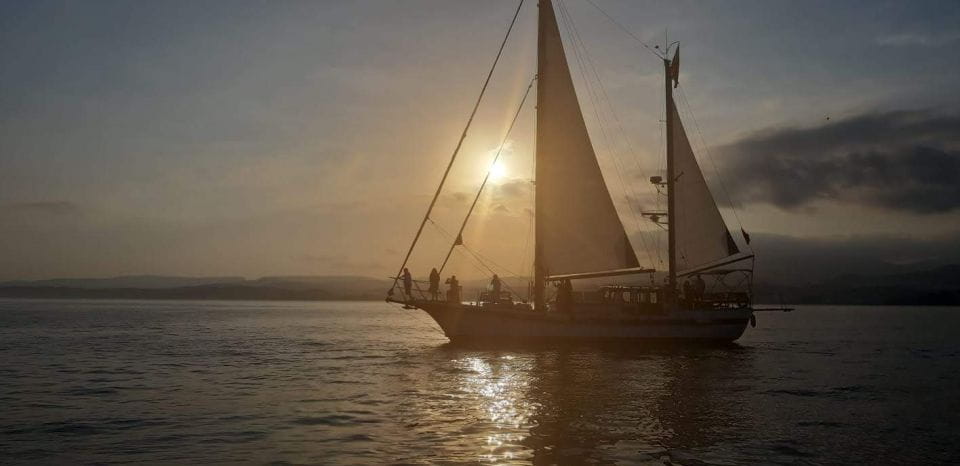 Estepona: Sunset Sailboat Cruise With Drink - Experience the Scenic Coastline