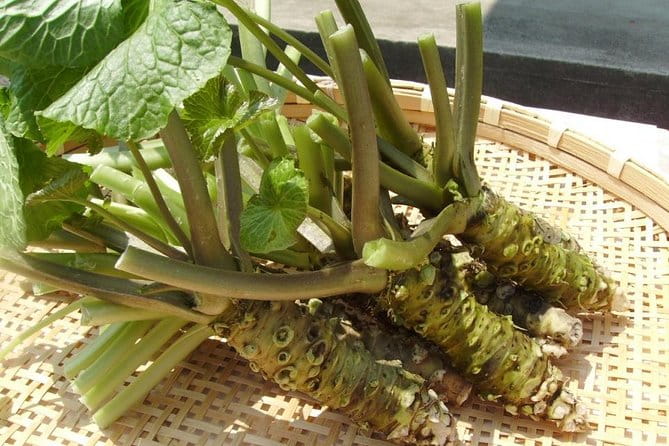 Experience Making Okura Wasabi and Wasabi Soy Sauce - Overview of the Experience