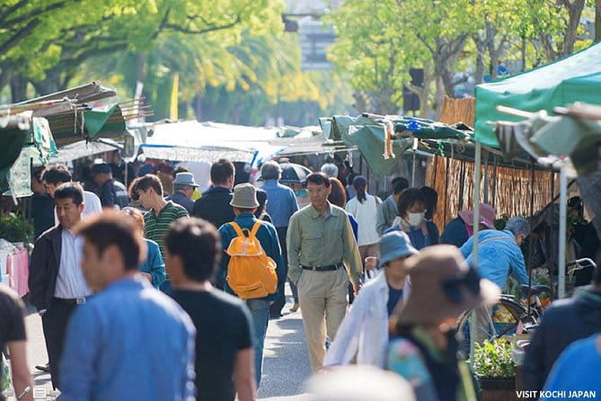 Experience the Energy of Kochi: Sunday Market Tour Includes Kochi Castle