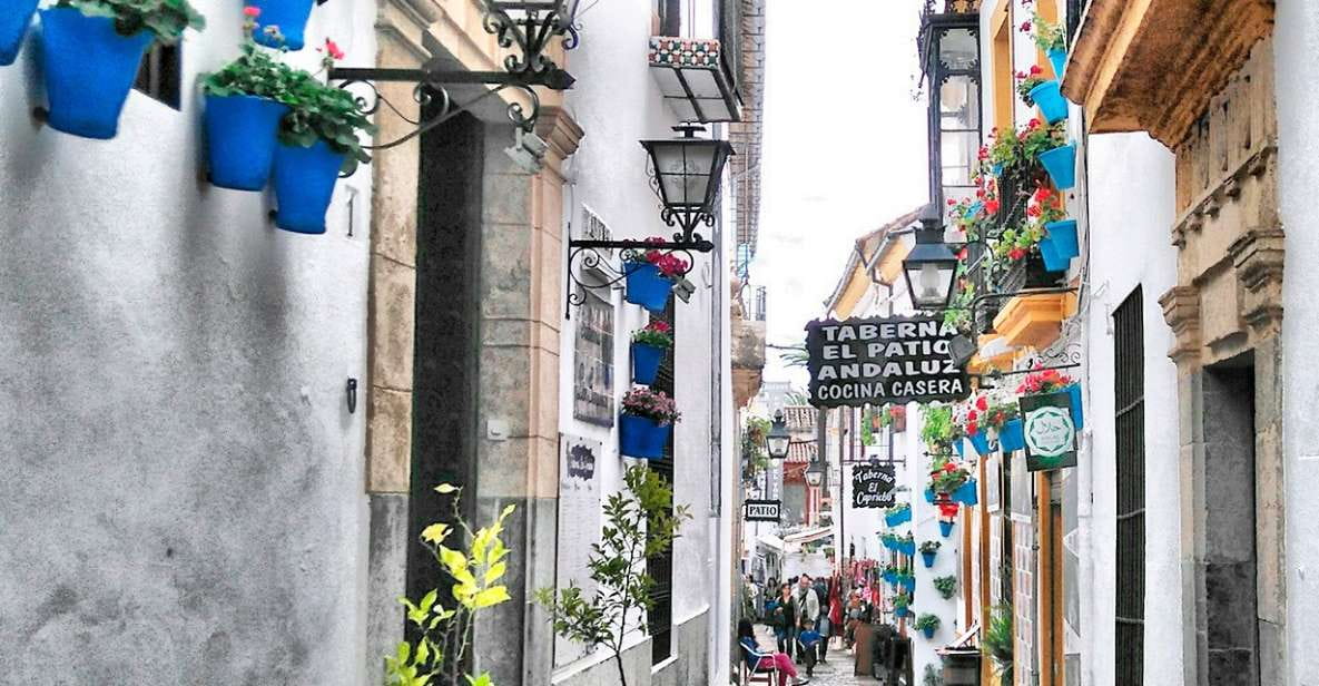 From Costa Del Sol: Day Trip to Cordoba Free Time - Overview and Pricing