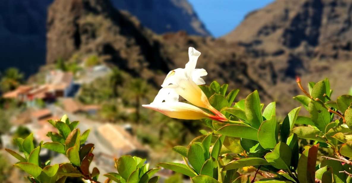 From Los Gigantes: Masca Canyon Hike With Water Taxi Return - Overview of the Hike