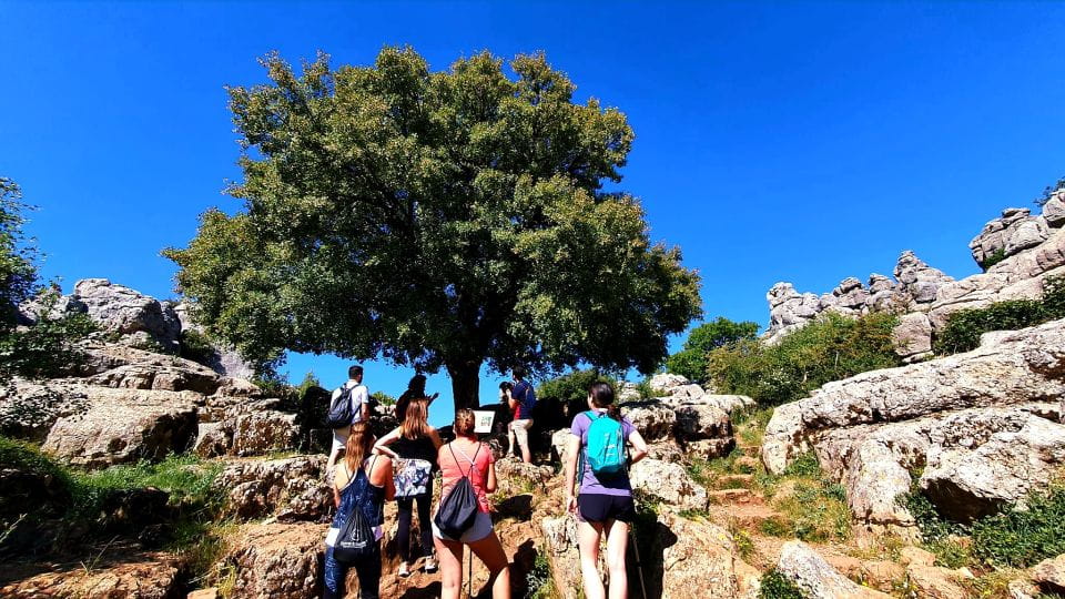 From Malaga: VIP Antequera Torcal Hiking and Dolmens Site - Trip Overview and Details